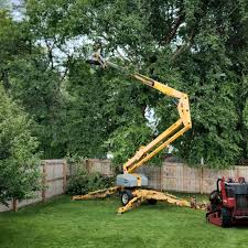 Best Tree Risk Assessment  in Farmersville, CA