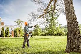 Best Aeration Services  in Farmersville, CA